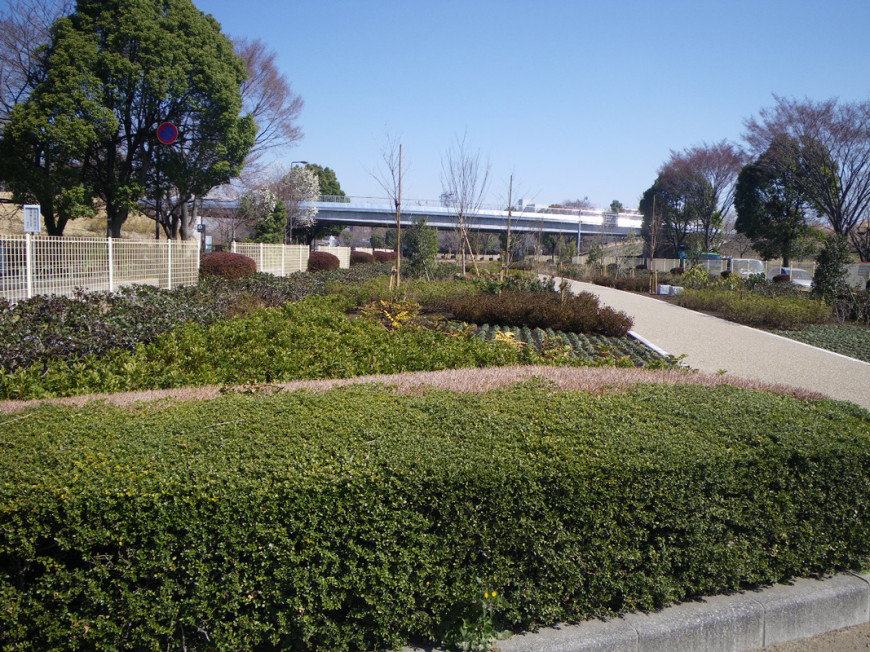 歩道舗装及び街路樹植栽工事