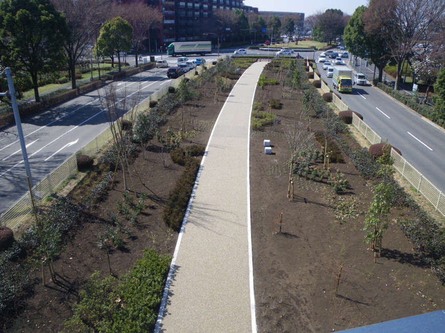歩道舗装及び街路樹植栽工事
